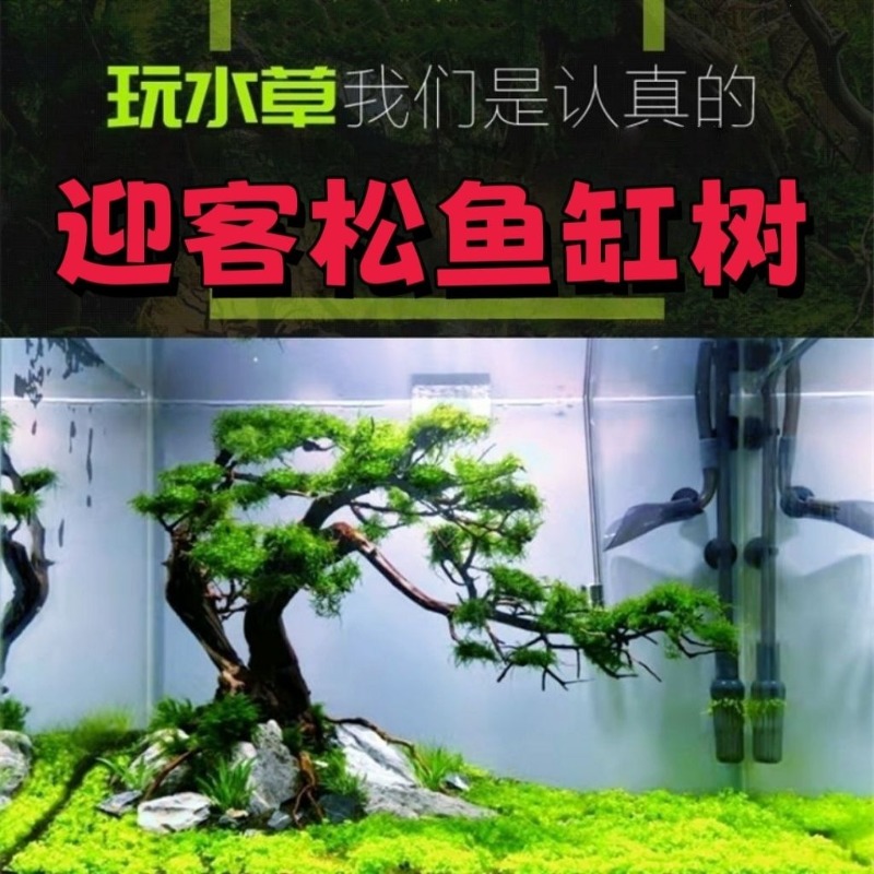 プロ仕様のエコフレンドリーな木製流木アートフラワーベース、水 - Resin Art And Wood のレビューと価格